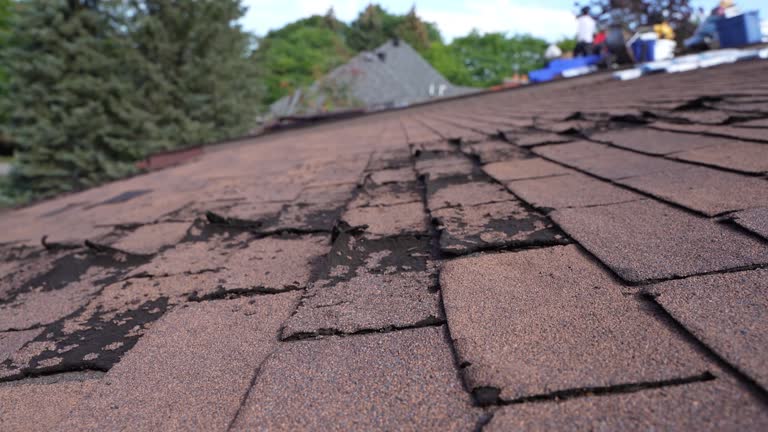 Best Sheet Metal Roofing  in Spring Hill, TN